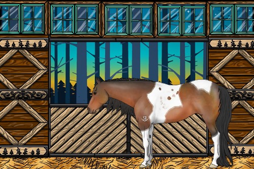 Horse Color:Bay Sabino Tobiano 