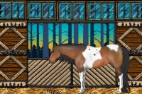 Horse Color:Bay Sabino Tobiano 