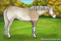 Horse Color:Watercolor Silver Brown Onyx 