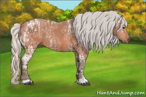 Horse Color:Silver Bay Ice 