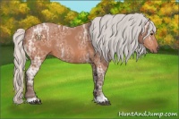 Horse Color:Silver Bay Ice 