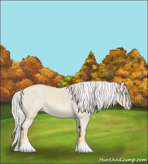 Horse Color:Silver Smoky Creme 