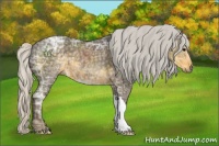 Horse Color:Silver Smoky Black Ice