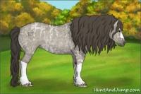 Horse Color:Smoky Grullo Ice Rabicano 