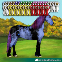 Horse Color:ERROR: UNKNOWN ANOMALY