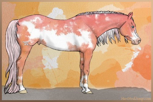 Horse Color:Watercolor White Spotted Silver Amber Cream Champagne Sabino Frame 