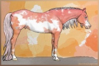 Horse Color:Watercolor White Spotted Silver Amber Cream Champagne Sabino Frame 