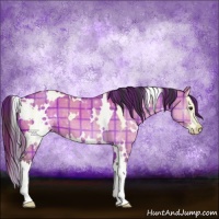 Horse Color:Plaid  White Spotted Buckskin Dun Splash 