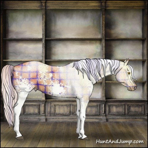 Horse Color:Plaid White Spotted Silver Buckskin