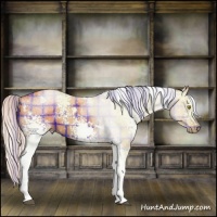 Horse Color:Plaid  White Spotted Silver Buckskin 