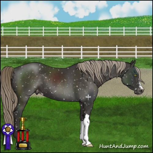 Horse Color:Liver Chestnut Mushroom Snowflake Varnish