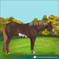 Horse Color:Liver Chestnut Frame 