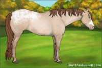 Horse Color:Brown Ice Pearl Dun 