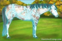 Horse Color:Thunderstruck Brown Ice Onyx Sabino Splash 