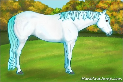 Horse Color:Gray Thunderstruck Watercolor Blue Onyx Ice Roan Sabino Splash