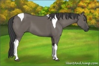 Horse Color:Smoky Grullo Tobiano
