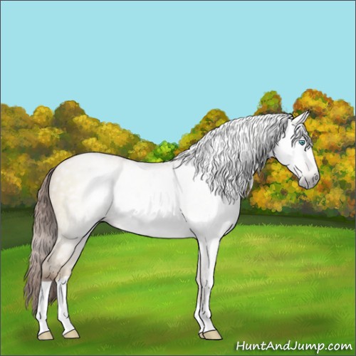 Horse Color:Gray Buckskin Pearl Dun 