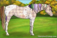 Horse Color:Painted Plaid  Amber Champagne Ice Tobiano 