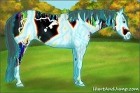 Horse Color:Thunderstruck Amber Champagne Ice Onyx Frame Rabicano 