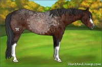 Horse Color:Brown Ice 