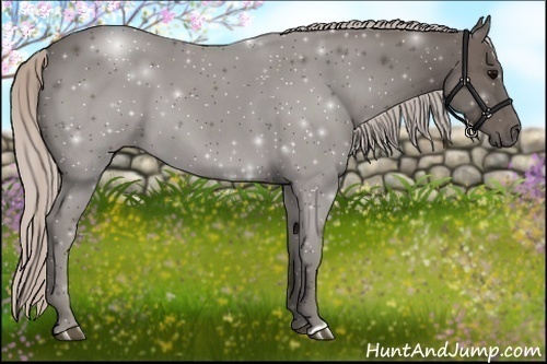 Horse Color:Silver Black 