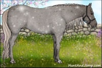 Horse Color:Silver Black 