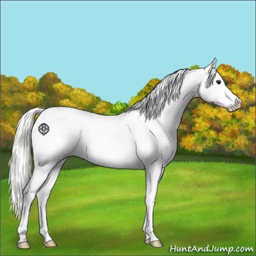 Horse Color:Silver Brown Dun Sabino Splash Blanket