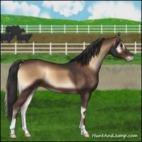 Horse Color:Liver Red Onyx 