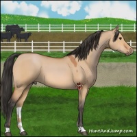Horse Color:Bay Dun