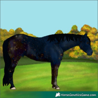 Horse Color:ERROR: UNKNOWN ANOMALY