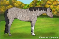 Horse Color:Bay Ice Roan Dun 