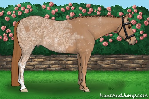 Horse Color:Chestnut Ice 