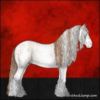 Horse Color:White Spotted Red Dun Rabicano  and White Spotted Red Dun Rabicano 