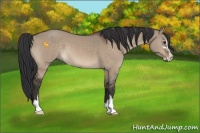 Horse Color:Brown Dun Sabino 