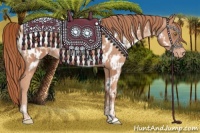 Horse Color:Gold Champagne Near Leopard  and Gold Champagne Near Leopard 