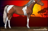 Horse Color:Silver Brown Tobiano 