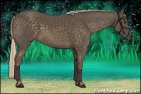 Horse Color:Chocolate Palomino Frame