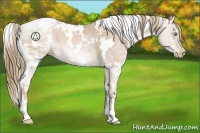 Horse Color:White Spotted Liver Chestnut Ice Pearl Snowcap