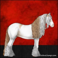 Horse Color:White Spotted Red Dun Rabicano  and White Spotted Red Dun Rabicano 