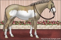 Horse Color:Chocolate Palomino Dun Mushroom Frame 