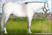 Horse Color:Gray Brown 