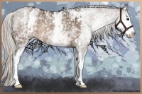 Horse Color:White Spotted Silver Brown Dun Sabino 