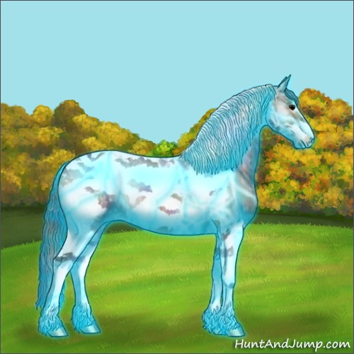 Horse Color:ERROR: UNKNOWN ANOMALY