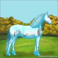 Horse Color:Thunderstruck Blue Onyx Ice Sabino Splash Tobiano 