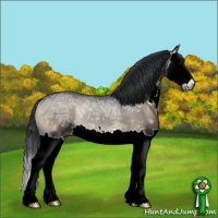 Horse Color:Blue Onyx Ice Sabino Splash Rabicano 