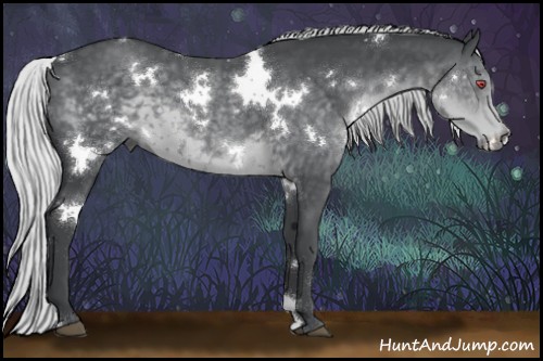 Horse Color:White Spotted Silver Black Chinchilla 