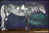 Horse Color:White Spotted Silver Black Chinchilla 