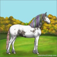 Horse Color:Painted White Spotted Silver Grullo Ice Splash Tobiano 