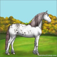 Horse Color:Painted Grullo Ice Onyx Sabino Splash