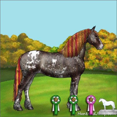 Horse Color:Painted White Spotted Chocolate Blue Onyx Ice Sabino Appaloosa Brindle